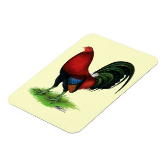 Gamecock:  Dark Red Magnet