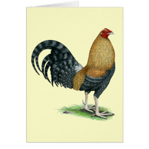 Gamecock: Dom or Crele