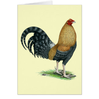 Gamecock Dom or Crele