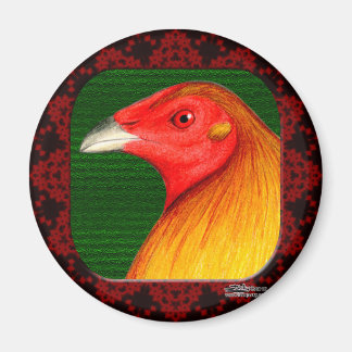 Gamecock Framed Magnet