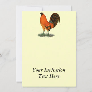 Gamecock Ginger Red Rooster Invitation