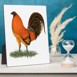 Gamecock Ginger Red Rooster Plaque