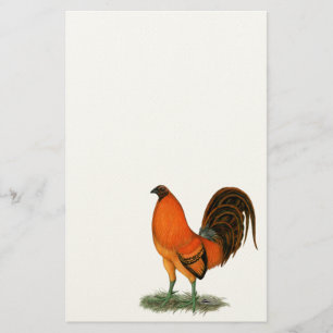 Gamecock Ginger Red Rooster Stationery