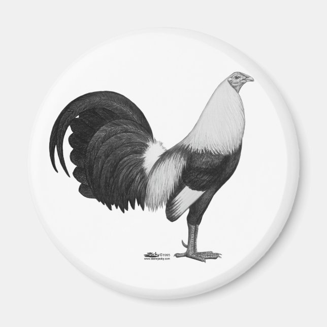 Gamecock Gray Duckwing Magnet (Front)