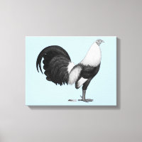 Gamecock Grey Duckwing
