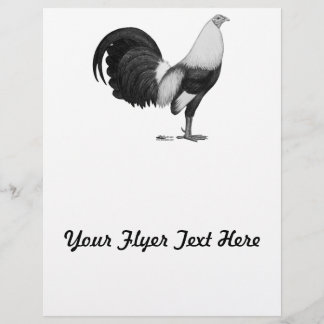 Gamecock Grey Duckwing Flyer