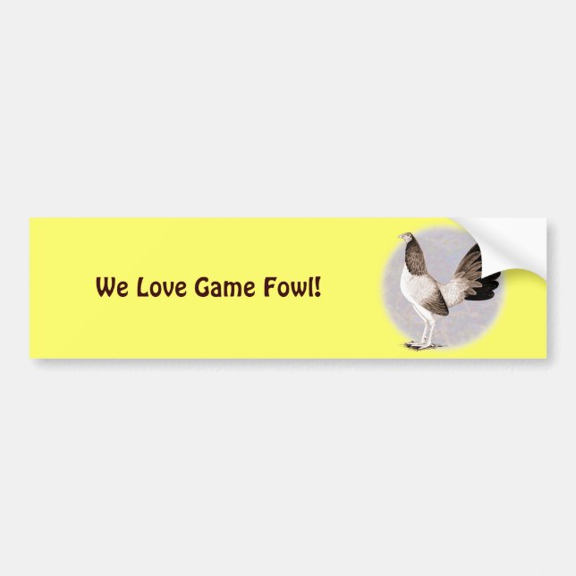 Gamecock:  Hennie Bumper Sticker (Front)