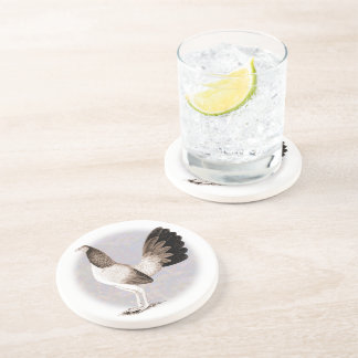 Gamecock: Hennie Coaster