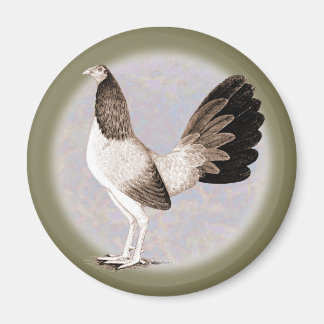 Gamecock:  Hennie Magnet
