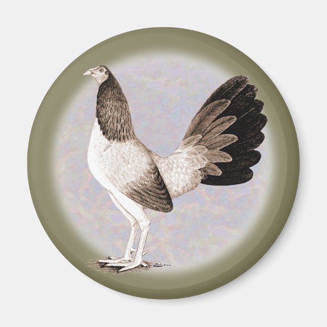 Gamecock:  Hennie Magnet (Front)