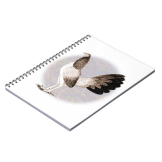 Gamecock: Hennie Notebook