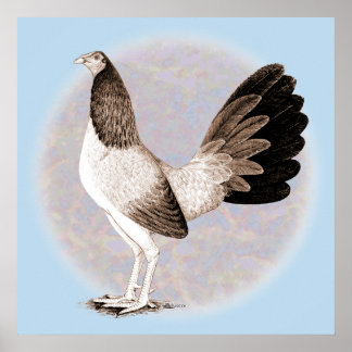 Gamecock: Hennie Poster