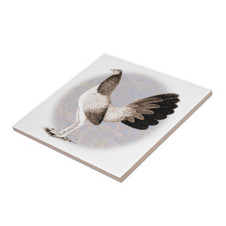 Gamecock:  Hennie Tile