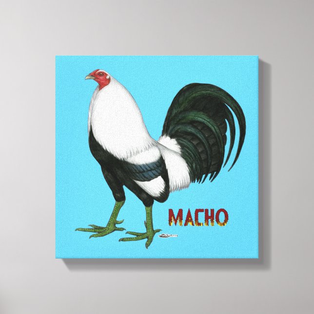 Gamecock Macho Duckwing Canvas Print (Front)