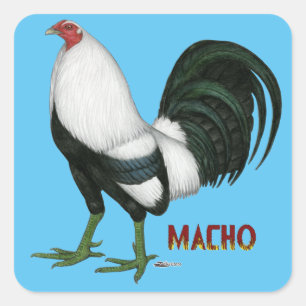 Gamecock Macho Duckwing Square Sticker