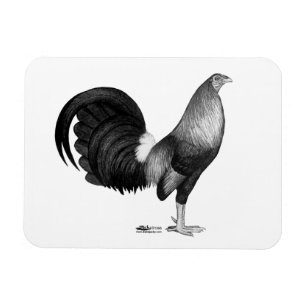 Gamecock Red Hatch Magnet