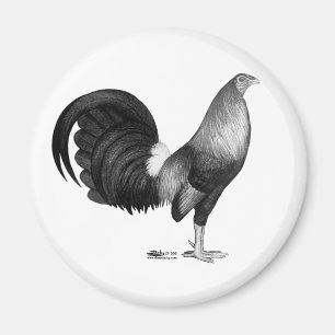 Gamecock Red Hatch Magnet