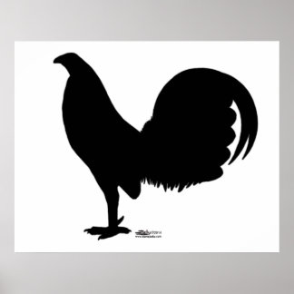 Gamecock Rooster Silhouette Poster