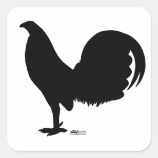 Gamecock Rooster Silhouette Square Sticker