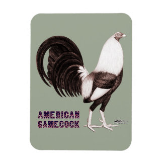 Gamecock Sepia Magnet