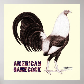 Gamecock Sepia Poster