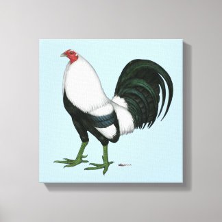 Gamecock Silver Duckwing Canvas Print