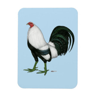 Gamecock Silver Duckwing Magnet