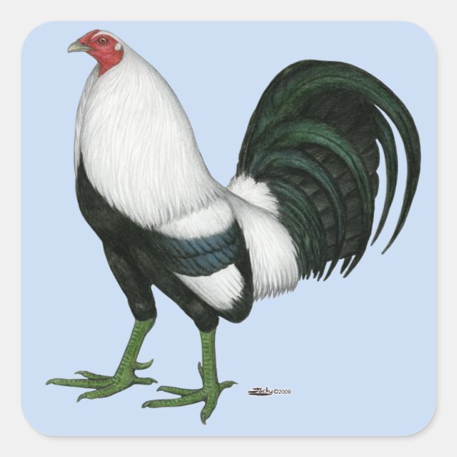 Gamecock Silver Duckwing Square Sticker (Front)