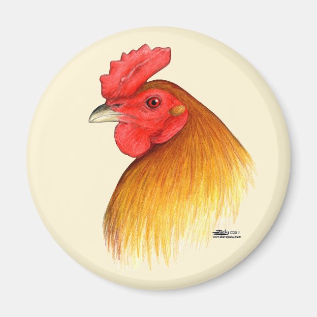 Gamecock Stag Pea Comb Magnet (Front)