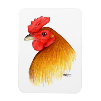 Gamecock Stag Pea Comb Magnet