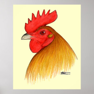 Gamecock Stag Single Comb Poster