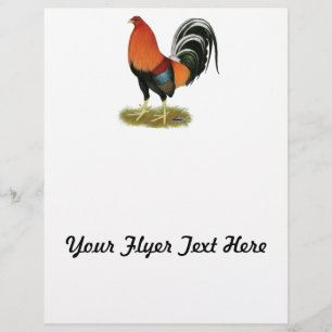 Gamecock Wheaten Rooster Flyer