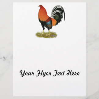 Gamecock Wheaten Rooster Flyer