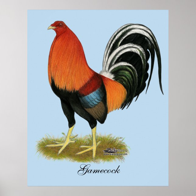 Gamecock Wheaten Rooster Poster (Front)