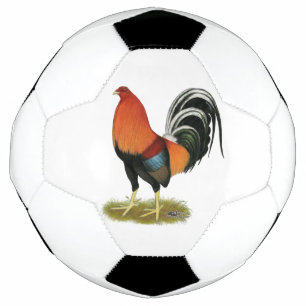 Gamecock Wheaten Rooster Soccer Ball