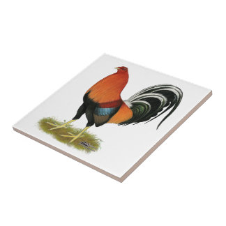 Gamecock Wheaten Rooster Tile