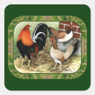 Gamefowl On the Farm Square Sticker