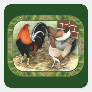 Gamefowl On the Farm Square Sticker