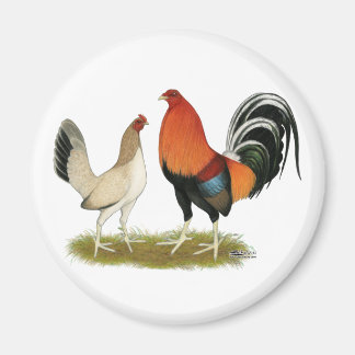 Gamefowl Wheatens Magnet