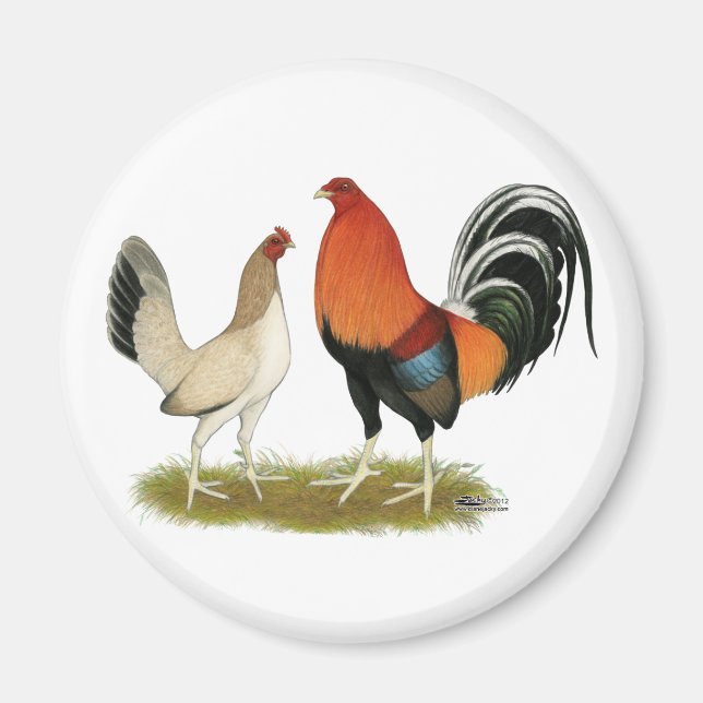 Gamefowl Wheatens Magnet (Front)