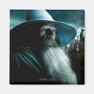 Gandalf at Dol Guldur Magnet