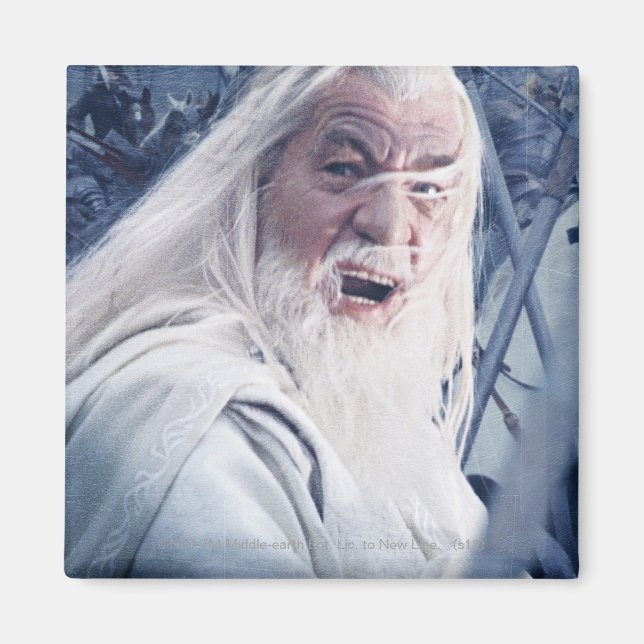 GANDALF™ In Battle Magnet (Front)