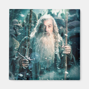 Gandalf The Grey Magnet