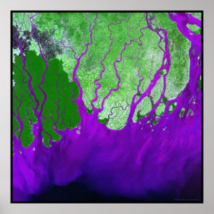 Ganges Delta Bay of Bengal Poster