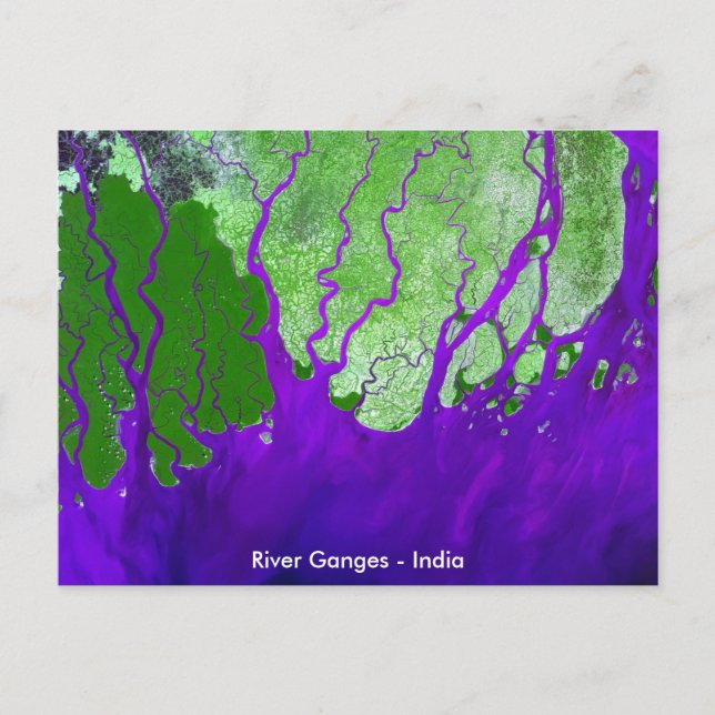 Ganges River Delta Satellite Image - India Postcard (Front)