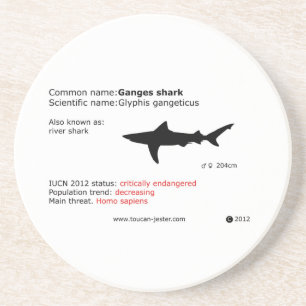 Ganges shark coaster