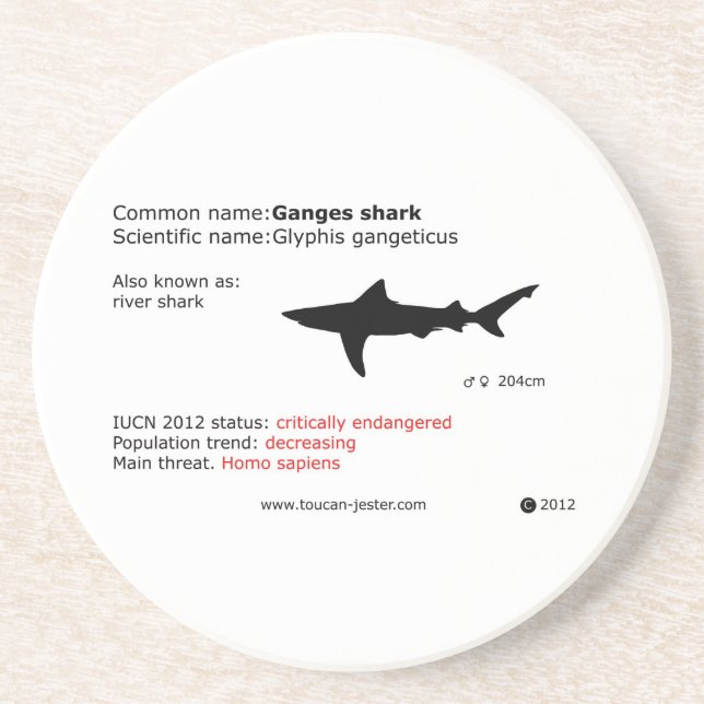 Ganges shark coaster (Front)