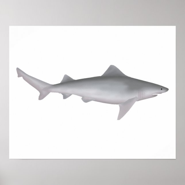 Ganges Shark Poster (Front)