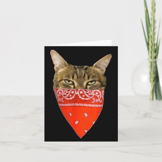 Gangsta Cat Shirt Funny Red Band Kitty Cat For Men Card (Front)