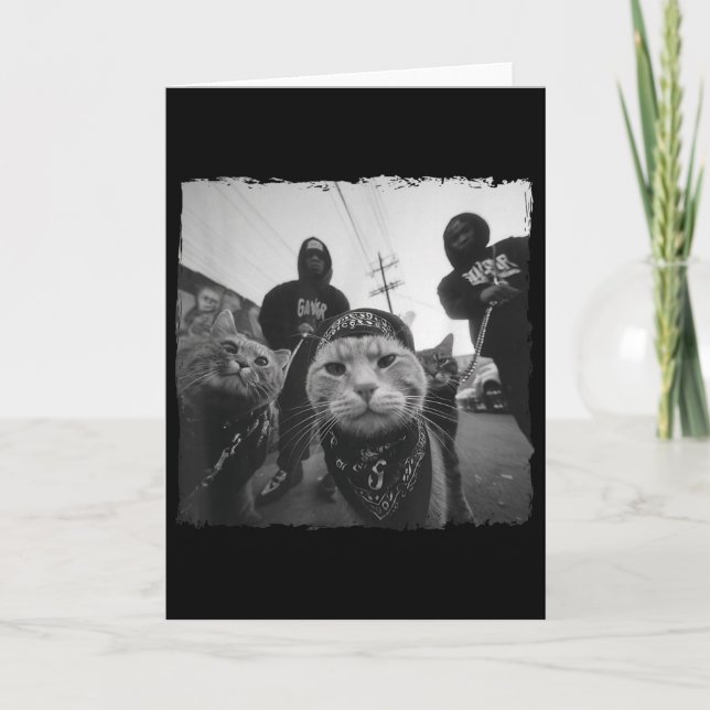 Gangster Cats Streetwear Cool Cat Motif Funny  Card (Front)